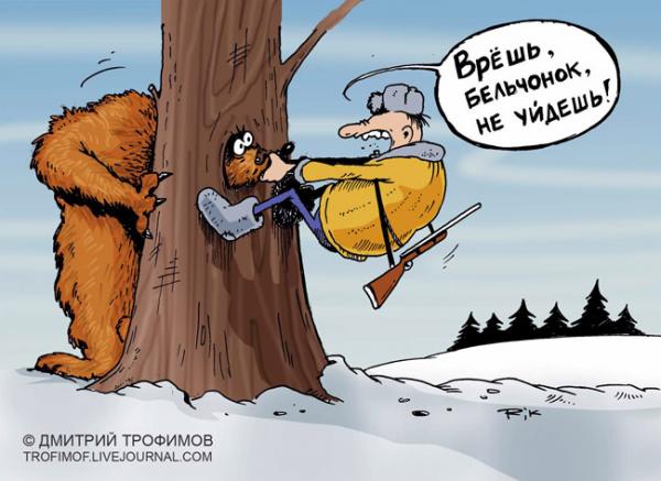 бельчонок