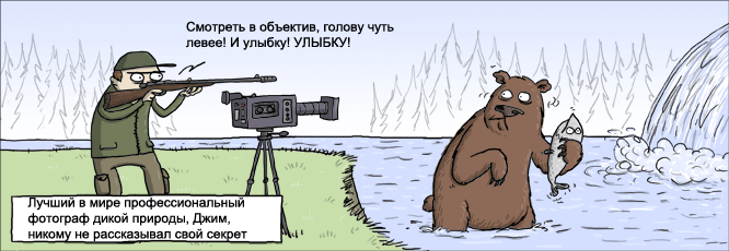 фотограф медведей