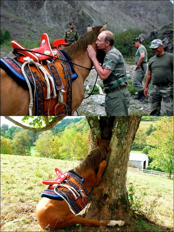 Путин и Лошадь